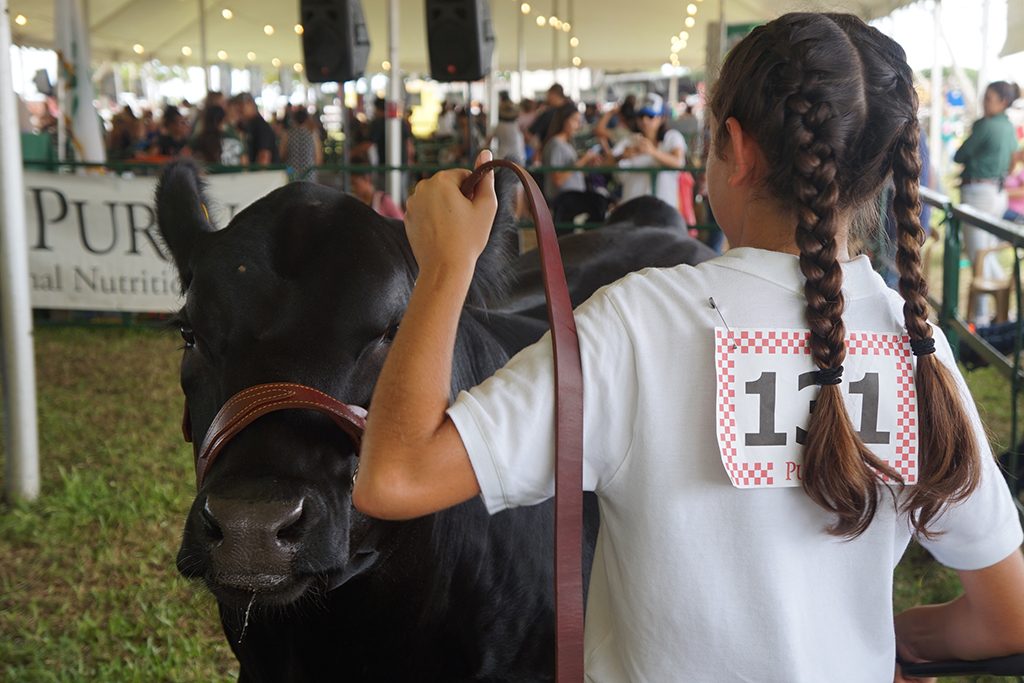 Hawaii State Farm Fair