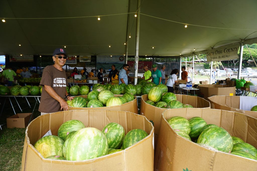 Hawaii State Farm Fair
